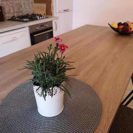 Ed's Happy Nest Apartment Barban